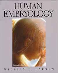 9780443087240: Human Embryology