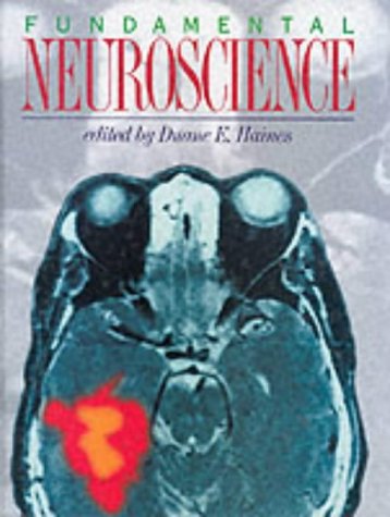 Imagen de archivo de Fundamental Neuroscience a la venta por AwesomeBooks