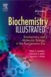 Beispielbild fr Biochemistry Illustrated: Biochemistry and Molecular Biology in the Post-Genomic Era zum Verkauf von SecondSale