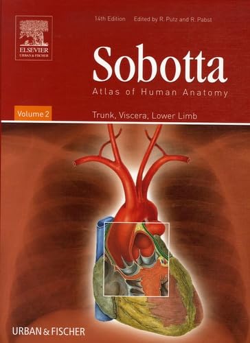 Beispielbild fr Sobotta Atlas of Human Anatomy (Volume 2): Trunk, Viscera, Lower Limb (14th Edn) zum Verkauf von Anybook.com