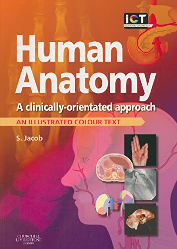 Imagen de archivo de Human Anatomy: A Clinically-Orientated Approach, 1e (Illustrated Colour Text) a la venta por SecondSale