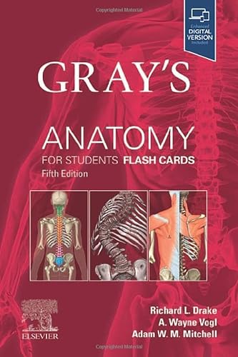 Beispielbild fr Gray's Anatomy for Students Flash Cards zum Verkauf von HPB-Red