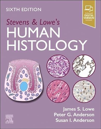 Stock image for Stevens &amp; Lowe's Human Histology for sale by Blackwell's