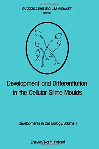 Development and Differentiation in the Cellular Slime Moulds (Developments in cell biology)