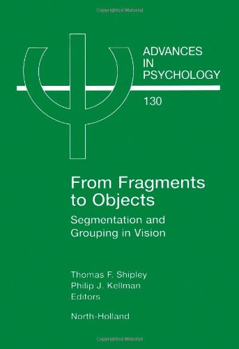 Stock image for Advances in Psychology: From Fragments to Objects: Segmentation and Grouping in Vision (Volume 130) for sale by Anybook.com
