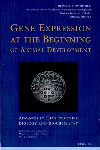 Stock image for Gene Expression at the Beginning of Animal Development (Advances in Developmental Biology) for sale by Chiron Media