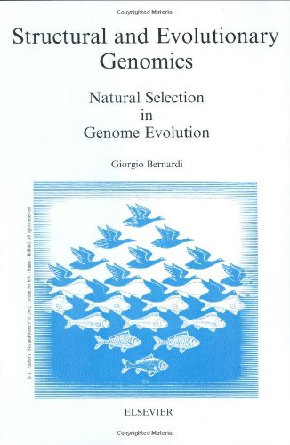 Stock image for Structural and Evolutionary Genetics : Natural Selection in Genome Evolution for sale by Better World Books: West