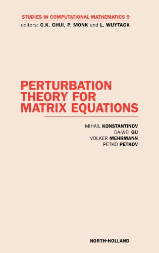 Imagen de archivo de Perturbation Theory for Matrix Equations (Volume 9) (Studies in Computational Mathematics, Volume 9) a la venta por Phatpocket Limited