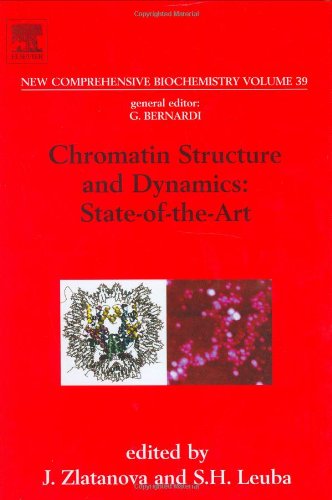 Stock image for New Comprehensive Biochemistry: Chromatin Structure and Dynamics: State-Of-The-Art for sale by Cathy's Half Price Books