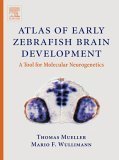 9780444517388: Atlas Of Early Zebrafish Brain Development: A Tool For Molecular Neurogenetics