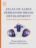 9780444517388: Atlas of Early Zebrafish Brain Development: A Tool for Molecular Neurogenetics