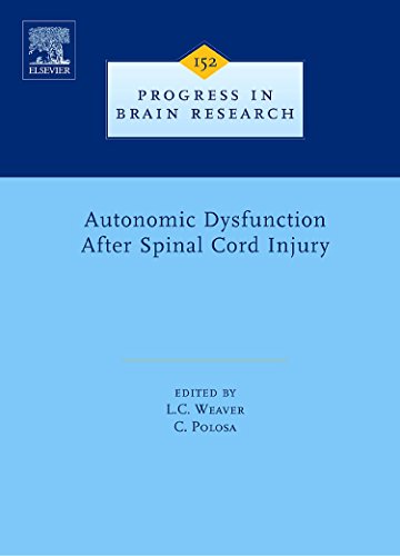 Stock image for Autonomic Dysfunction After Spinal Cord Injury (Progress in Brain Research): Volume 152 for sale by Chiron Media