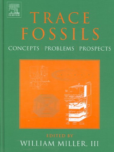 9780444529497: Trace Fossils: Concepts, Problems, Prospects