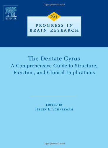 9780444530158: The Dentate Gyrus: A Comprehensive Guide to Structure, Function, and Clinical Implications (Volume 163) (Progress in Brain Research, Volume 163)