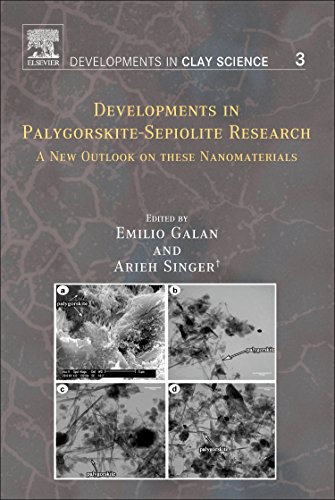 9780444536075: Developments in Palygorskite-Sepiolite Research: A New Outlook on these Nanomaterials (Volume 3) (Developments in Clay Science (Volume 3))