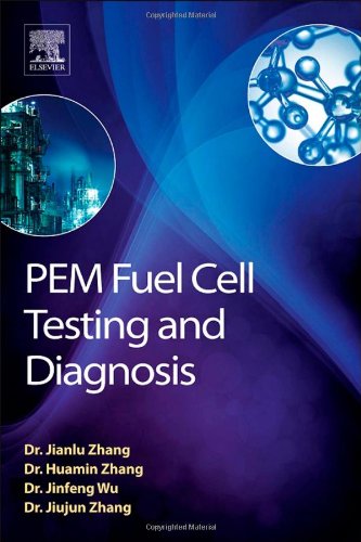 9780444536891: Pem Fuel Cell Testing and Diagnosis