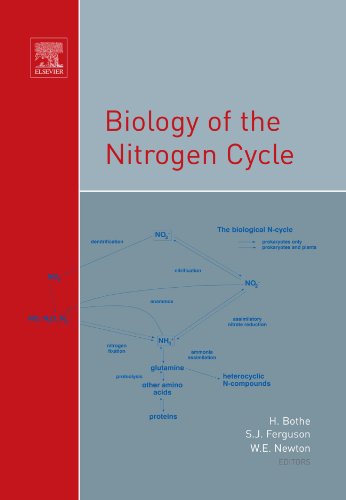 Beispielbild fr Biology of the Nitrogen Cycle: COST edition zum Verkauf von HPB-Red