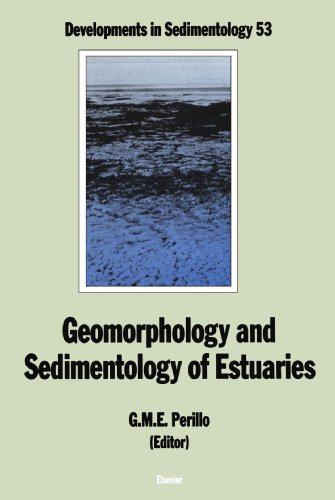 Imagen de archivo de Geomorphology and Sedimentology of Estuaries a la venta por Revaluation Books
