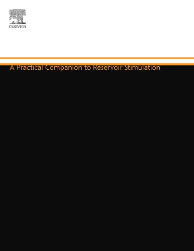 9780444556004: A Practical Companion to Reservoir Stimulation
