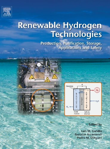 9780444563521: Renewable Hydrogen Technologies: Production, Purification, Storage, Applications and Safety