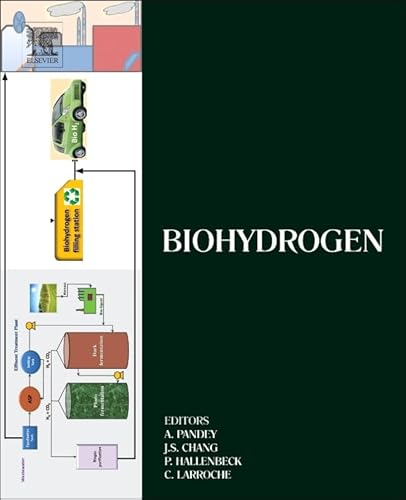 Stock image for Biohydrogen (Biomass, Biofuels, Biochemicals) for sale by Chiron Media