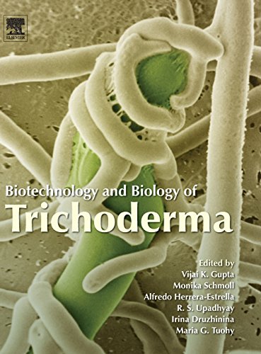 9780444595768: Biotechnology and Biology of Trichoderma