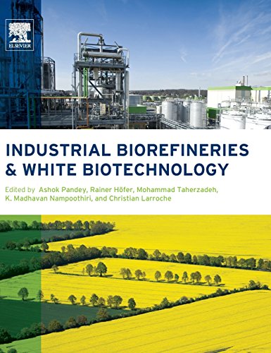 Stock image for Ashok Pandey. Rainer Hofer. a.o. 2015. Elsevier. Hardcover. Very good. xix,710pp. Industrial Biorefineries and White Biotechnology for sale by Antiquariaat Ovidius