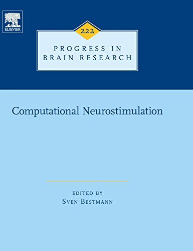 Imagen de archivo de Computational Neurostimulation a la venta por Revaluation Books