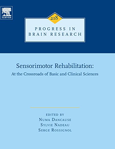 Imagen de archivo de Sensorimotor Rehabilitation: At the Crossroads of Basic and Clinical Sciences a la venta por Revaluation Books