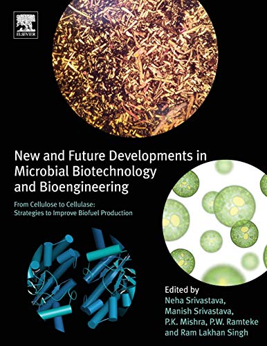 Imagen de archivo de New and Future Developments in Microbial Biotechnology and Bioengineering: From Cellulose to Cellulase: Strategies to Improve Biofuel Production a la venta por Revaluation Books