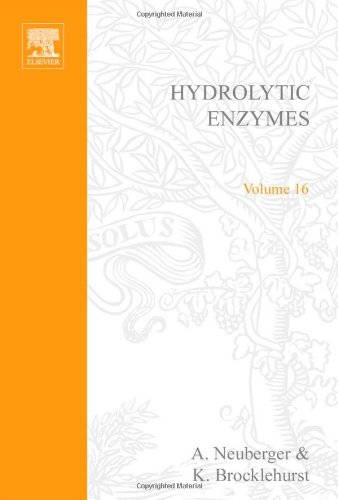 Hydrolytic Enzymes (New Comprehensive Biochemistry, Volume 16)