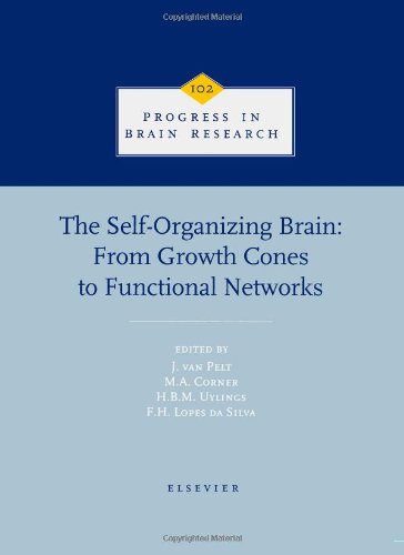 Stock image for The Self-Organizing Brain: from Growth Cones to Functional Networks for sale by Better World Books Ltd