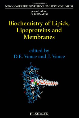 Stock image for Biochemistry of Lipids, Lipoproteins and Membranes, Third Edition (New Comprehensive Biochemistry) for sale by Solr Books