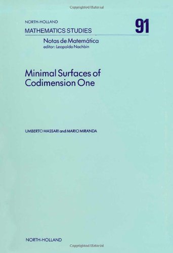 9780444868732: Minimal Surfaces of Codimension One: Volume 91