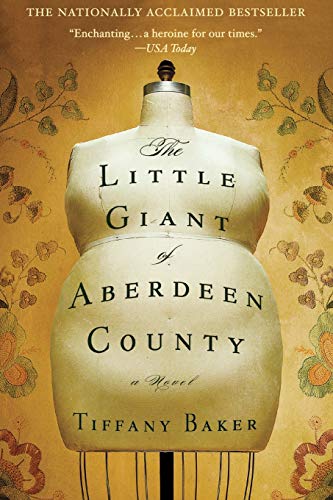 Imagen de archivo de The Little Giant of Aberdeen County a la venta por SecondSale