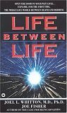 LIFE BETWEEN LIFE - Scientific Explorations into the Void Separating One Incarnation From the Next