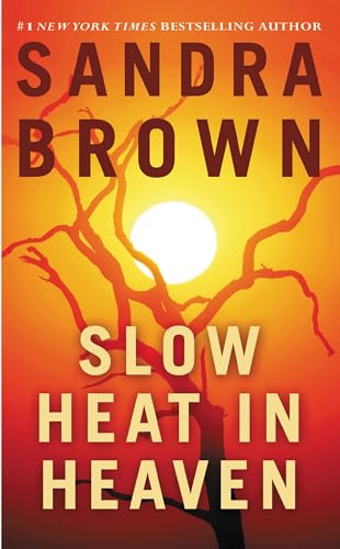 Slow Heat in Heaven (9780446361736) by Brown, Sandra