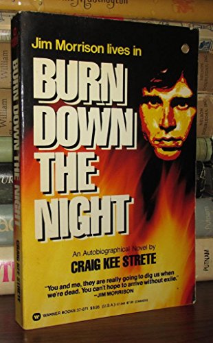 Beispielbild fr Burn Down the Night zum Verkauf von Wonder Book