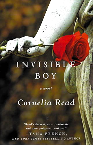 Beispielbild fr Invisible Boy (A Madeline Dare Novel (3)) zum Verkauf von Your Online Bookstore