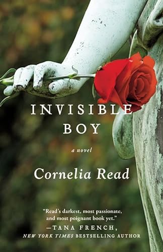 9780446511353: Invisible Boy: 3 (Madeline Dare Novel)