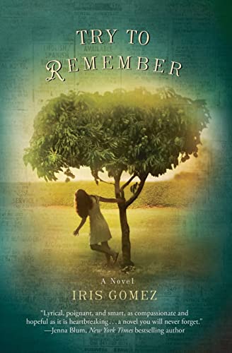 Stock image for Try to Remember for sale by Better World Books