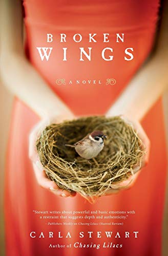 Beispielbild fr Broken Wings: A Novel zum Verkauf von WorldofBooks