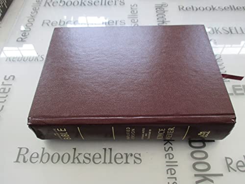 Imagen de archivo de The EveryDay Life Bible, Amplified Version a la venta por Reliant Bookstore