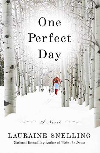 Imagen de archivo de One Perfect Day: A Novel a la venta por Gulf Coast Books