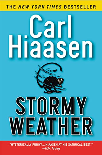 Imagen de archivo de Stormy Weather a la venta por Your Online Bookstore