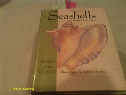 9780446910064: Seashells (Magic of the Ocean)