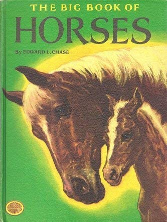 Stock image for Big Book of Horses for sale by ThriftBooks-Dallas