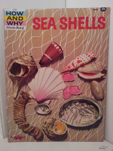 Beispielbild fr The How and Why Wonder Book of Sea Shells zum Verkauf von Wonder Book