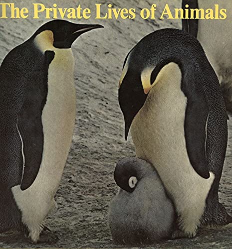 Imagen de archivo de The Private Lives of Animals a la venta por Better World Books: West
