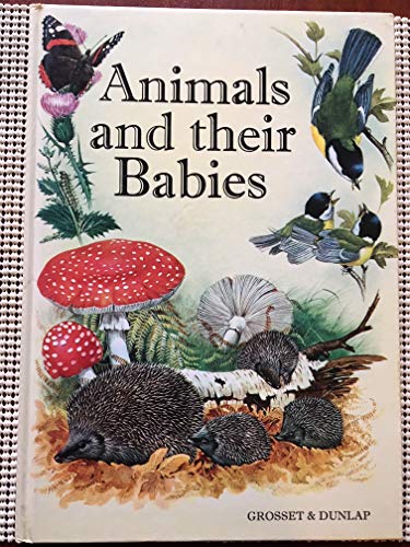 Beispielbild fr Animals and Their Babies zum Verkauf von HPB Inc.